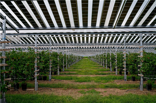 BIPV installation (3)