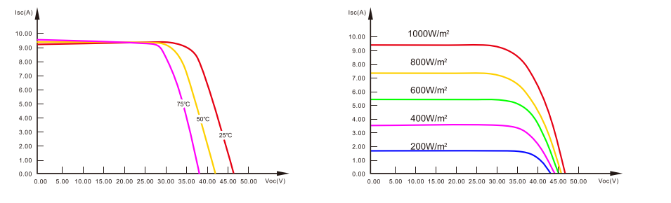 kasv (1)