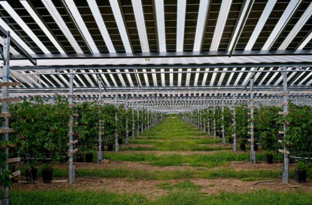 Transmittance transparent solar panel